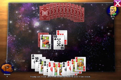 Pinochle by Webfoot screenshot 4