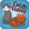 Cat.Videos