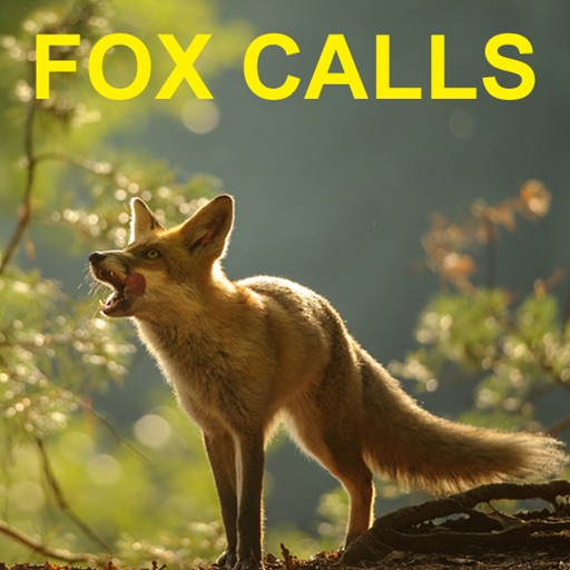 Predator Calls for Fox Hunting Icon