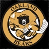 Oakland Bears Hockey