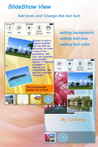 Photo and Text SlideShow - Micro Album -Build PDF screenshot 3