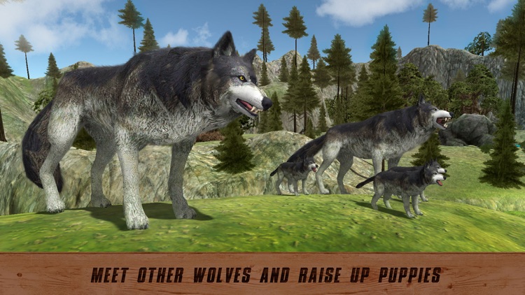 Wild Wolf Quest: Survival Simulator