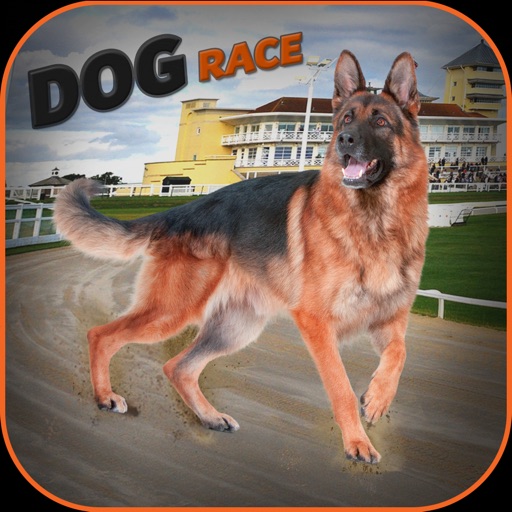 Real Dog Race and Stunts Icon