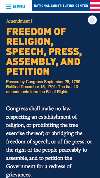 Interactive Constitution
