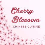Cherry Blossom - Seattle