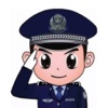 警务派警察版