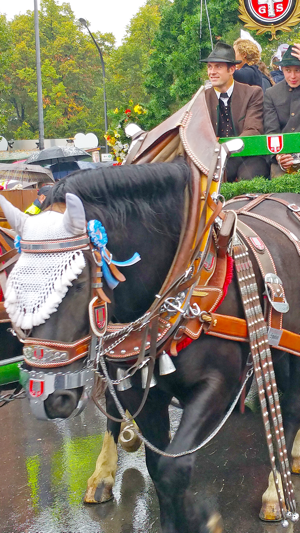 VR Oktoberfest Parade Virtual Reality 36