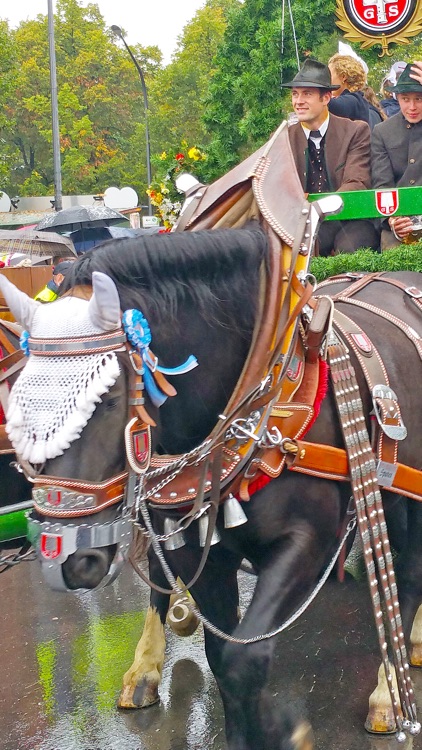 VR Oktoberfest Parade Virtual Reality 360