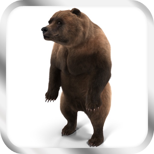 Pro Game Guru for Bear Simulator Icon