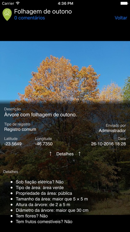 SP Árvores screenshot-4