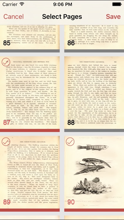 PDF Page Clipper