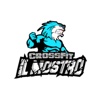 Ilmostro CrossFit