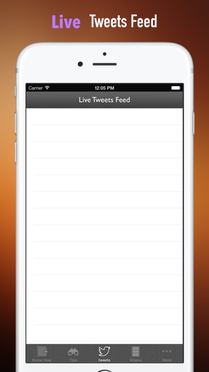 Mosaics Mosaic Tips:Templates and Trade Secrets screenshot-4