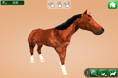 MY FARM ANIMAL - Augmented Reality screenshot 3