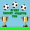 Brazil Soccer Juggling Cup