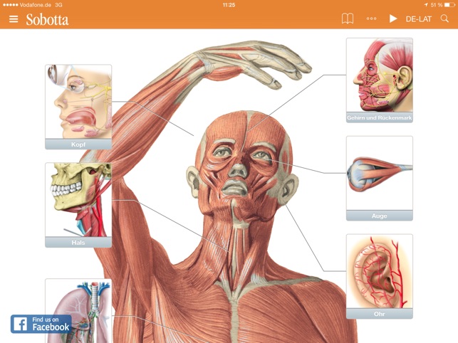 Sobotta Anatomie Im App Store