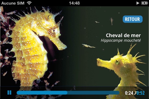 Guide Audio Enfant - Aquarium la Rochelle screenshot 3