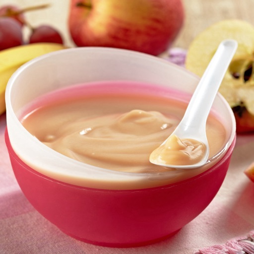 Baby Food Guide for New Parents-First Year