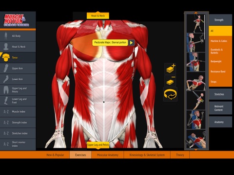 Muscle and Motion Strength Training screenshot 3