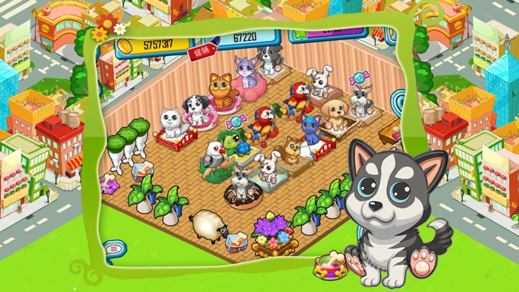 Pet Home
