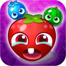 Activities of Smash Monter Fruit 2