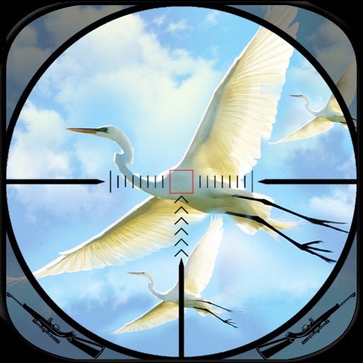 Bird Hunting Season 2016 Challenge : Legend of Bir iOS App