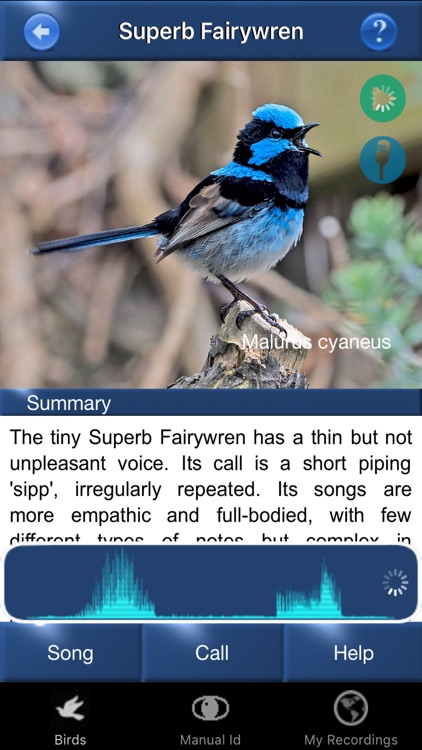 Bird Song Id Australia - Automatic Recognition screenshot-1