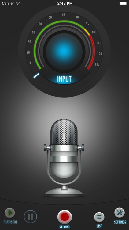MightyMic Pro Recorder