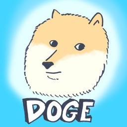 Wow Such Doge