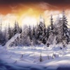 Winter Snow Wallpapers HD- Quotes and Art Pictures