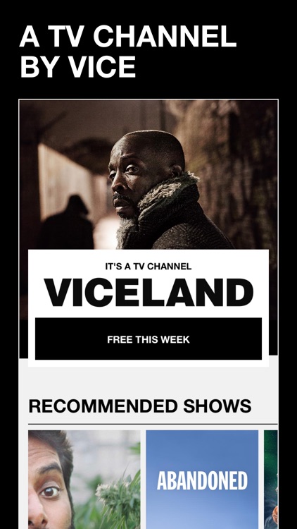 VICELAND screenshot-0