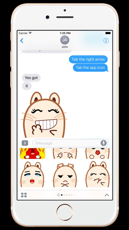 Miss Rice Stickers