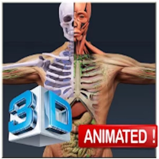 Pocket Anatomy - Interactive 3D Human