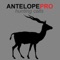 Want an affordable antelope sounds and antelope calls