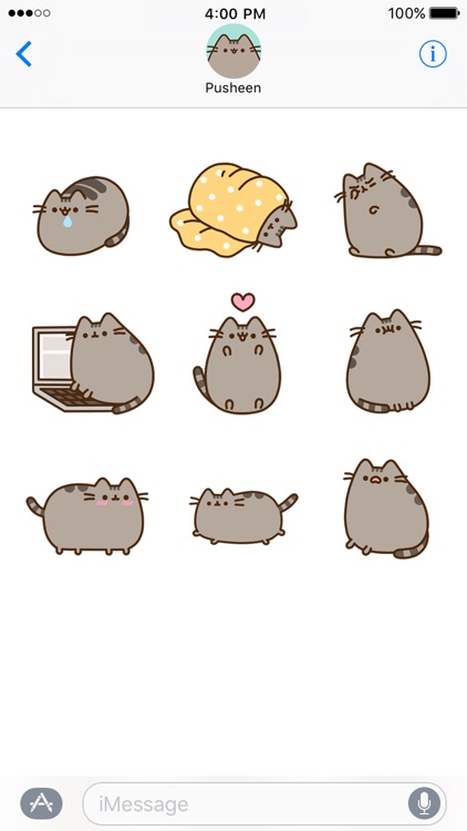 Pusheen Animated Stickers screenshot-4