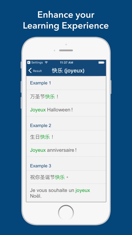 Chinese French Dictionary 法中字典 screenshot-3