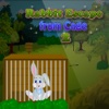 Rabbit Escape from Cage 2