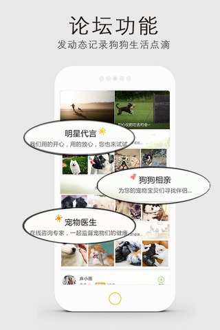 纯种犬 screenshot 2