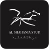 Al Shahania Stud
