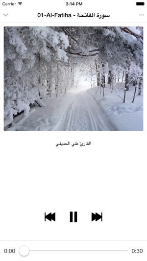 Ali Al houdaifi - Quran mp3 - علي الحذيفي(圖5)-速報App