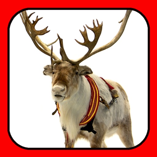 A Reindeer Cam HD for iPad icon
