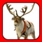 ✭✭ REINDEER CAM IS HERE