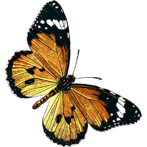 Directory of butterflies