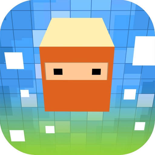 Color Cube Ninja Style Fatal Game icon