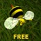 Popper Bee