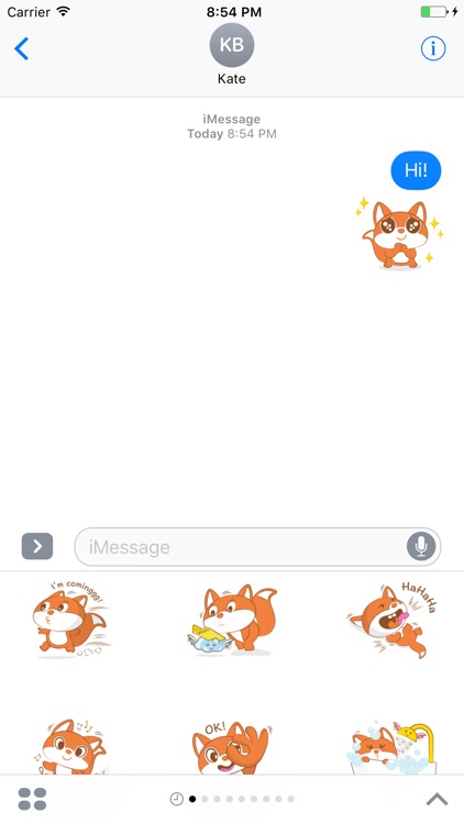 Squirrel Sticker screenshot-3