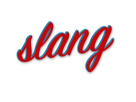 This app contains slang words/ sayings
