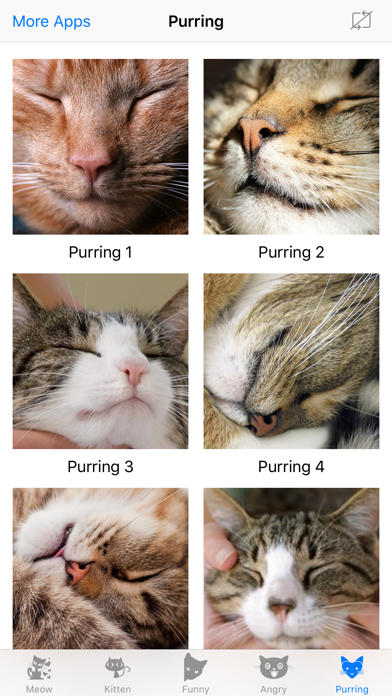 Cat Meow : Prank and troll your pets screenshot 4