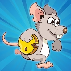 Activities of Mouse Mayhem Game Pro