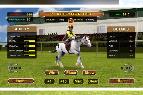 Wild Horse Racing 3D Simulator- Virtual Derby Race screenshot 2